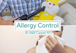 Allergy Control - 